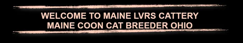 Maine Lvrs