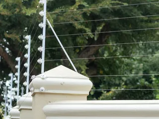 Do Electric Fences Work On Cats? Vet Approved Advice
