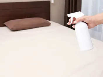 Will Bed Bug Spray Hurt My Cat? What You Should Know!