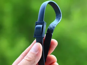 Can You Use Dog Flea Collars on Cats? (Vet Answer)