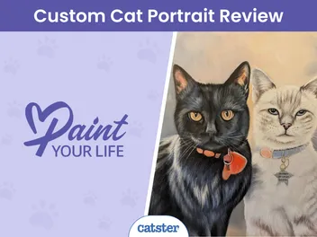 Paint Your Life Cat Portrait Review 2026: Our Expert's Opinion