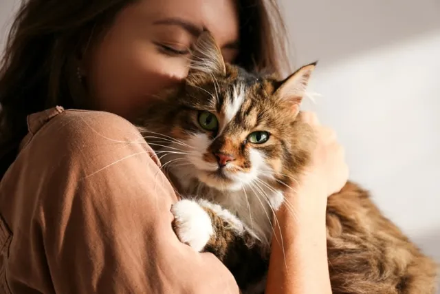 Pet Theft Awareness Day 2026: How to Participate With Your Cat