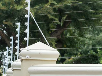 Do Electric Fences Work On Cats? Vet Approved Advice
