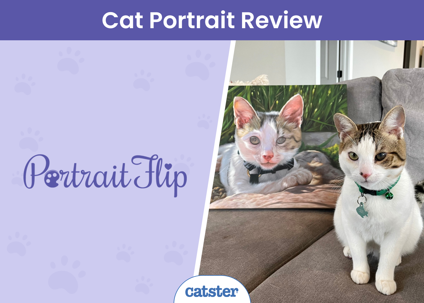 CAT_SAPR_Portraitflip Cat Portrait