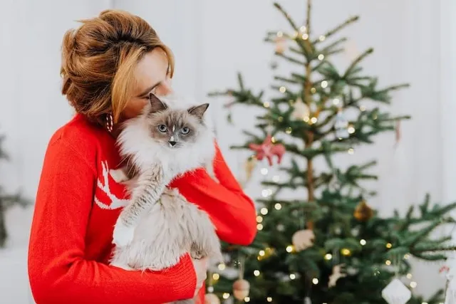 16 Vet-Verified Reasons Why Cats Make Good Pets (Backed by Science)