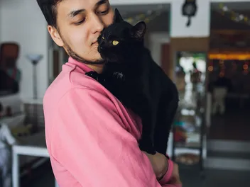 Are Cats Good Therapy Animals? Vet-Verified Facts & Benefits