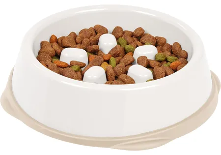 IRIS USA 2 Cups Slow Feeder Dog Bowl 