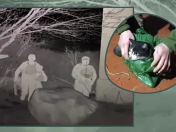 Ukrainian Troops Turned a Supply Drone Into a Pet Rescue Mission