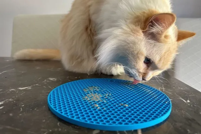 What's a Lick Mat & Does It Help Cats? Pros, Cons & FAQ
