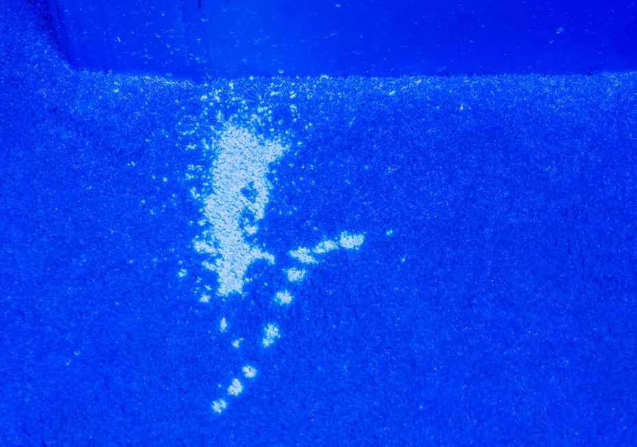 UV-light-illuminate-pet-urine-stain