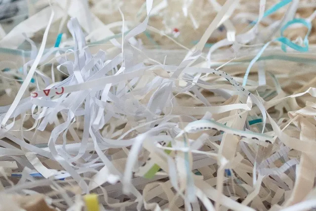 Can You Use Shredded Paper for Cat Litter? Vet-Approved Facts & Tips