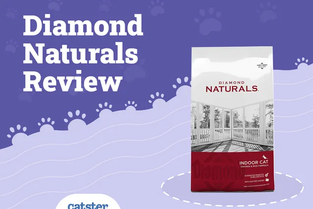 Diamond Naturals Cat Food Review of 2026: Recalls, Pros & Cons