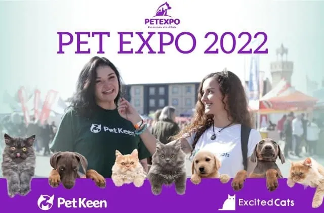Pet Expo (World of Dogs and Cats): Visiting Africa's Biggest Pet Event