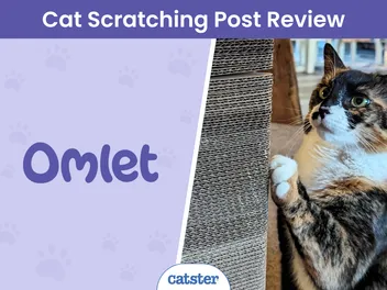 Omlet Cardboard Cat Scratching Post Review 2026: A Detailed Look