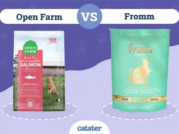 Open Farm vs Fromm Cat Food: 2026 Comparison