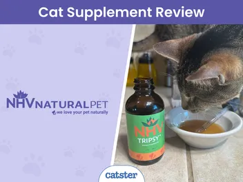 NHV Tripsy For Cats Review 2026: Our Vet’s Opinion