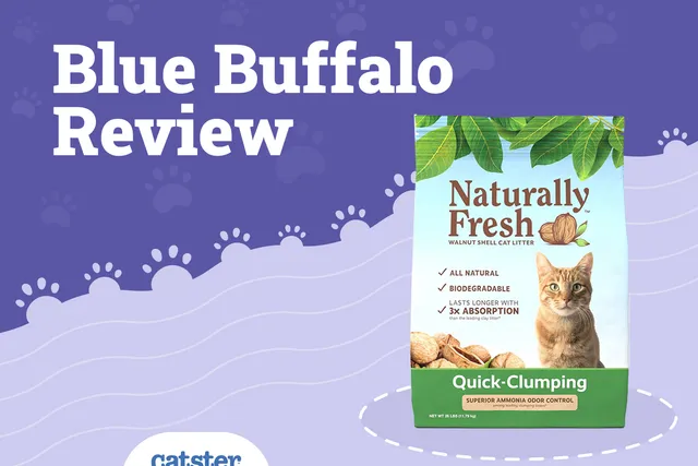 Blue Buffalo Cat Litter Review of 2026: Recalls, Pros & Cons
