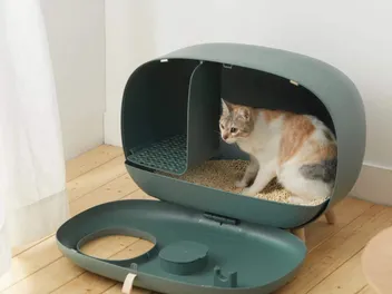 5 Best Designer Cat Litter Box Brands of 2026 – Reviews & Top Picks