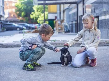 9 Ways Kids Can Raise Money to Help Cats: Fun & Creative Ideas