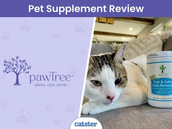 PawTree Tear & Saliva Stain Remover Chews Review 2026: A Detailed Look