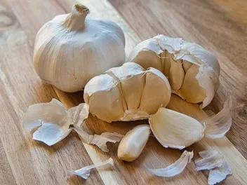 Garlic Toxicity in Cats: Vet-Approved Signs, Care Tips & FAQ