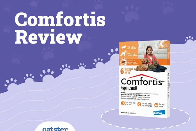 Comfortis Flea Tablet for Cats - Vet Review in 2026