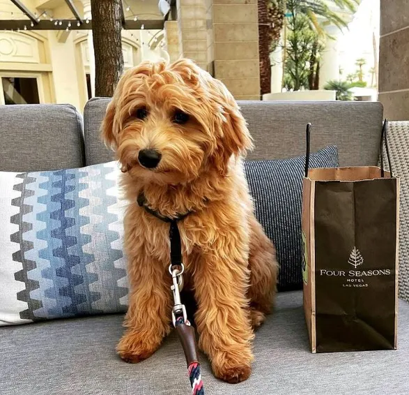 Four Seasons Hotel