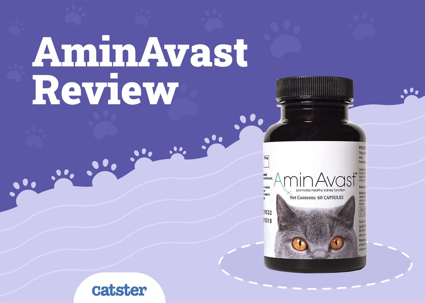AminAvast Review