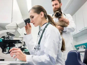 How Cats Are Helping to Cure Cancer