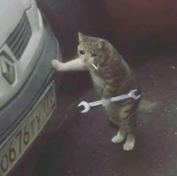 Mechanic Cat