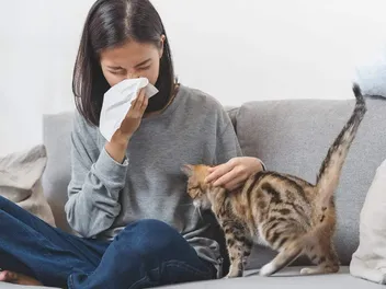 Can You Build Up an Immunity to Cat Allergies? Vet-Reviewed Tips & Facts