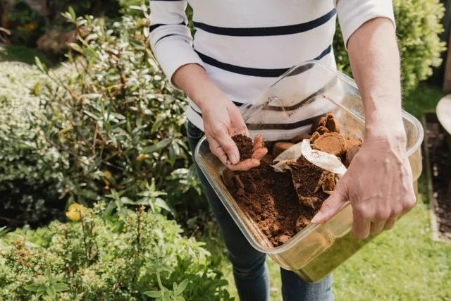 Do Coffee Grounds Keep Cats Away? Vet-Reviewed Facts & FAQ