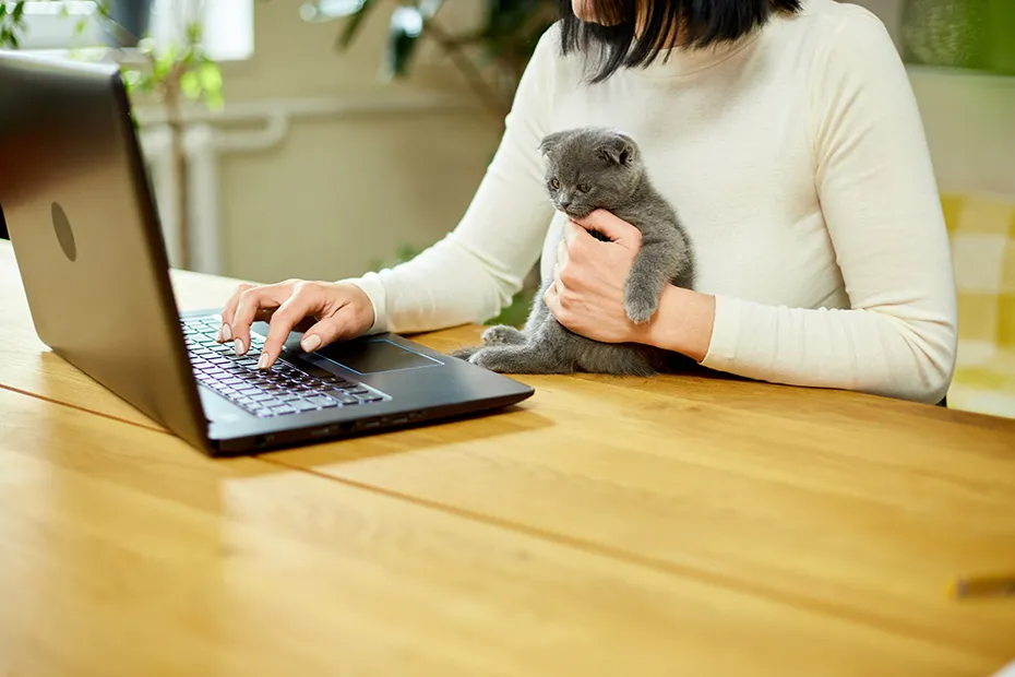 woman holding a kitten while using her laptop