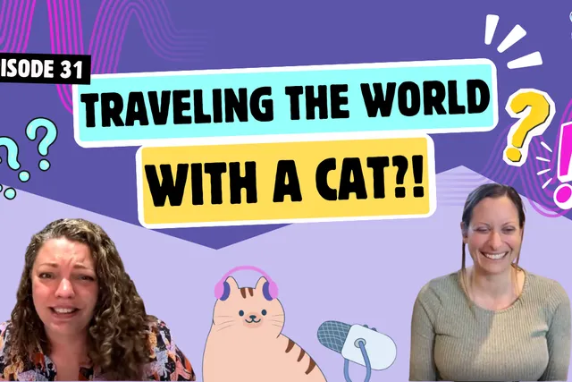Chatting About Traveling With Cats, Beach Cats, and Telling Cats Off With Your Eyes | Chatty Cattys, Episode 31