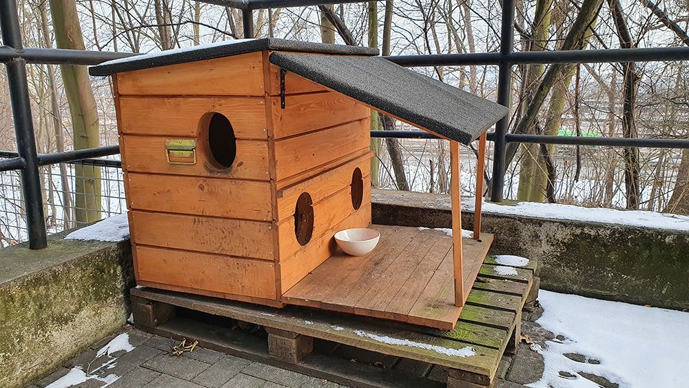 wooden cat house in the balcony