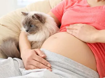 How to Prepare Your Cat for a New Baby: 7 Vet-Approved Tips