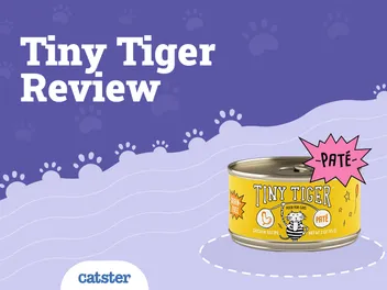 Tiny Tiger Cat Food Review of 2026: Recalls, Pros & Cons
