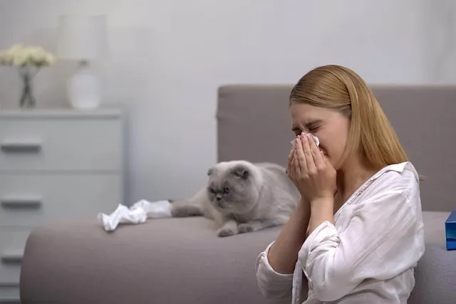 Can You Be Allergic to Cats But Not Dogs? Vet-Approved Facts & Explanation