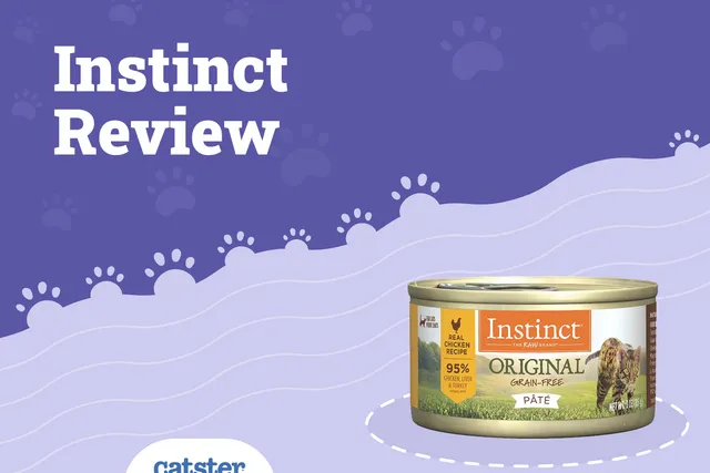 Nature’s Variety Instinct Cat Food Review of 2026: Recalls, Pros & Cons