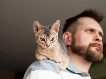 Do Cats Protect Their Owners? Vet-Verified Facts & Signs