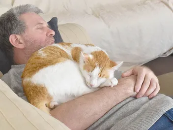 Why Does My Cat Sleep on Me? 6 Vet-Reviewed Reasons & Solutions