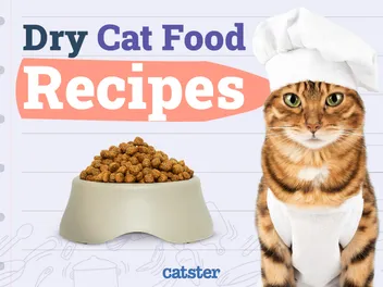 5 Homemade Dry Cat Food Recipes