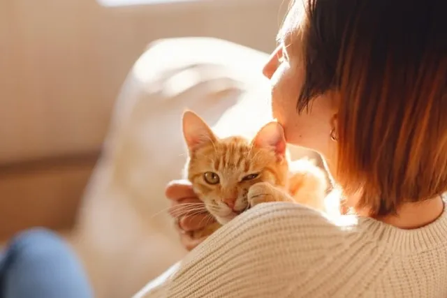 Cat Supplies Prime Day Deals: Our Favorites in 2026