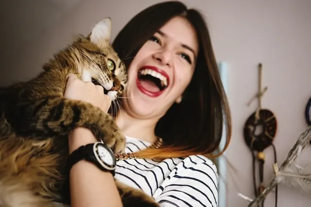 Can My Cat Understand Human Meows? Vet-Reviewed Communication Explanation