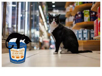 A Bodega Without a Bodega Cat? Not On Our Watch!