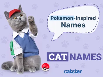 100+ Pokémon Inspired Cat Names: Ideas for Unique & Adorable Cats