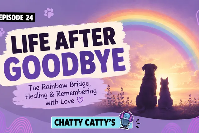 Chatting About the Rainbow Bridge, Euthanasia, and Laughter During Grief | Chatty Cattys, Episode 24