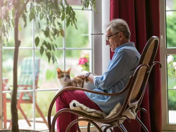 Cats in Nursing Homes: Vet-Reviewed Benefits, Risks & FAQ