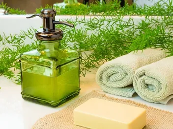 Does Irish Spring Soap Keep Cats Away? Vet-Reviewed Facts & FAQ