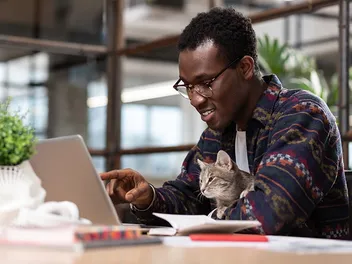 Take Your Cat to Work Day 2026: When & What Is It
